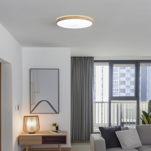 Brilagi - LED Stmívatelné stropní svítidlo PINE LED/60W/230V + dálkové ovládání