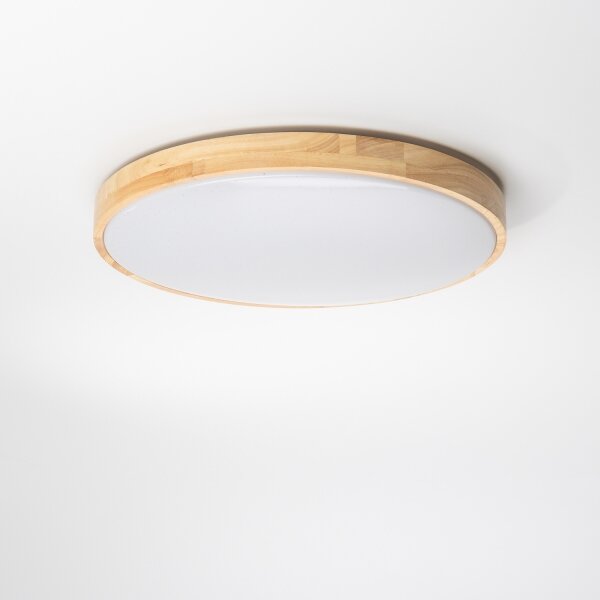 Brilagi - LED Stmívatelné stropní svítidlo PINE LED/24W/230V + dálkové ovládání