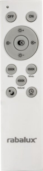 Rabalux 2131 - LED Stmívatelné stropní svítidlo LUPITA LED/40W/230V stříbrná +DO