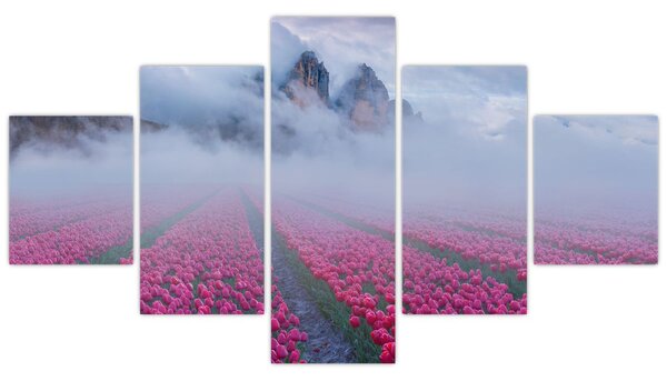 Obraz - Krajina s tulipánovými poli (125x70 cm)