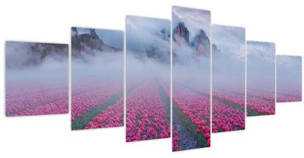 Obraz - Krajina s tulipánovými poli (210x100 cm)