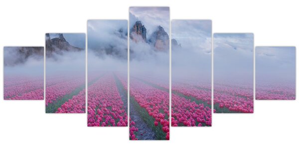 Obraz - Krajina s tulipánovými poli (210x100 cm)