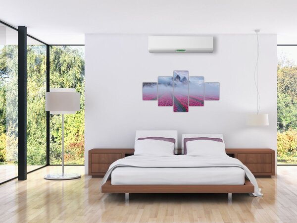 Obraz - Krajina s tulipánovými poli (125x70 cm)