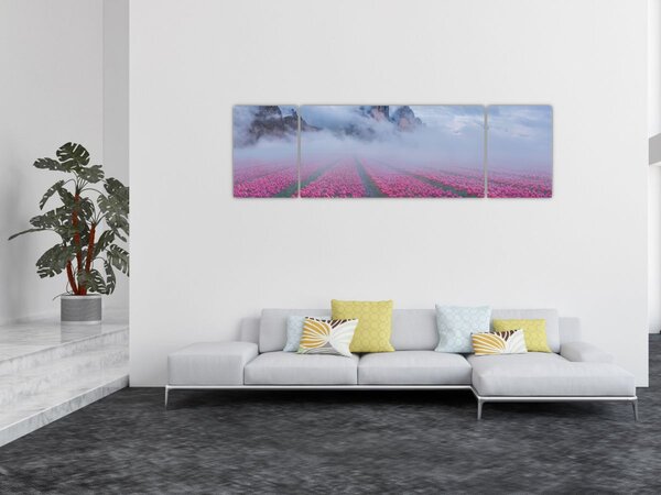 Obraz - Krajina s tulipánovými poli (170x50 cm)