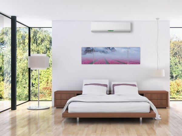 Obraz - Krajina s tulipánovými poli (170x50 cm)