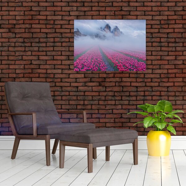 Obraz - Krajina s tulipánovými poli (70x50 cm)