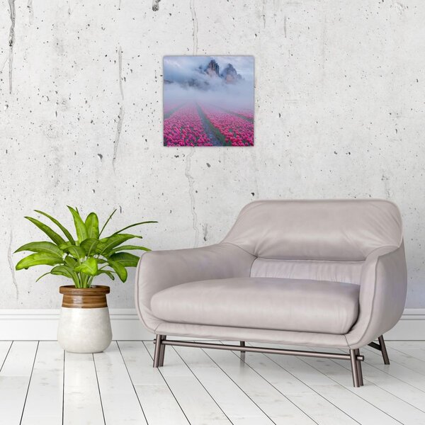 Obraz - Krajina s tulipánovými poli (30x30 cm)