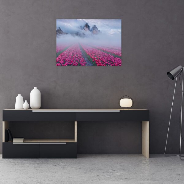 Obraz - Krajina s tulipánovými poli (70x50 cm)