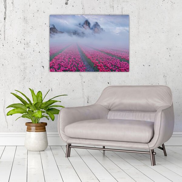 Obraz - Krajina s tulipánovými poli (70x50 cm)