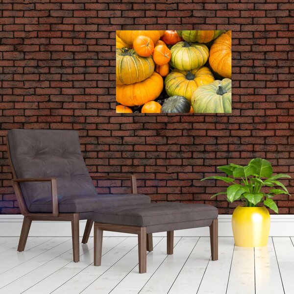 Obraz - Podzimní dýně (70x50 cm)