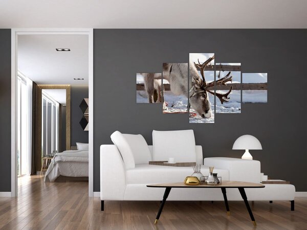 Obraz - Sob (125x70 cm)
