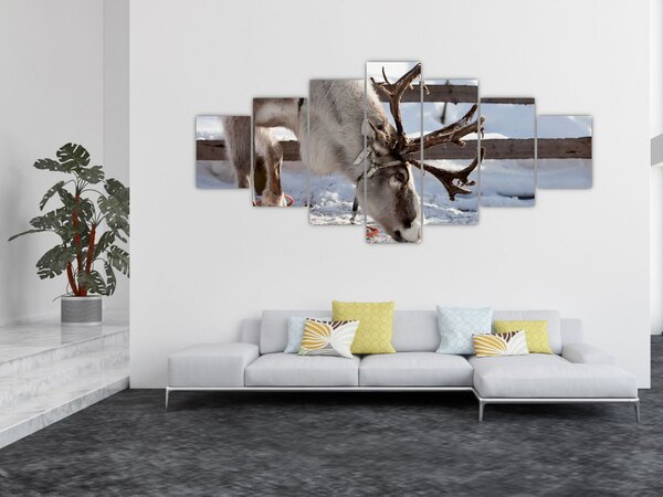 Obraz - Sob (210x100 cm)