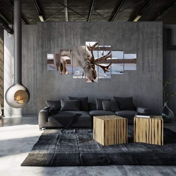 Obraz - Sob (210x100 cm)