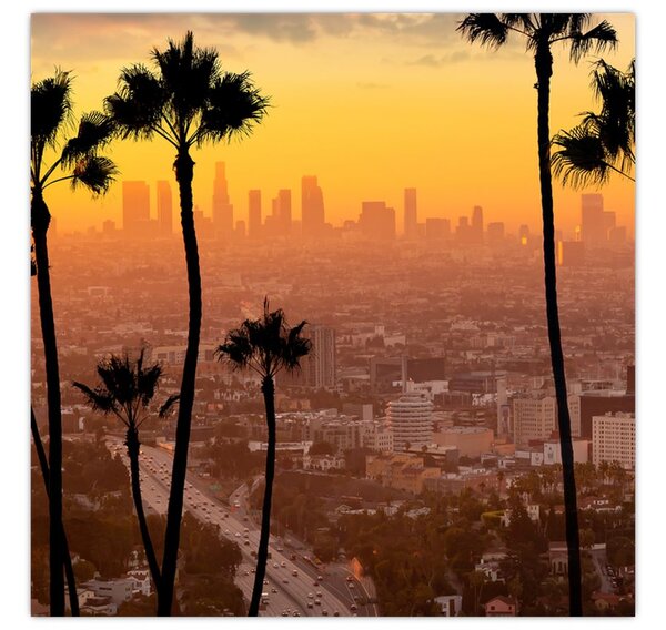Obraz - Panorama Los Angeles (30x30 cm)