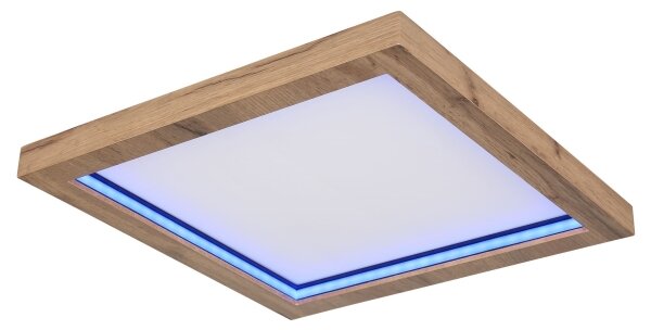 Globo 41374-24 - LED RGBW Stmívatelné stropní svítidlo BRANZA LED/24W/230V + DO