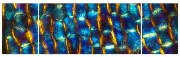 Obraz - Buněčná stěna (170x50 cm)