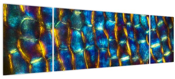 Obraz - Buněčná stěna (170x50 cm)