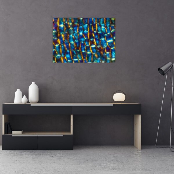 Obraz - Buněčná stěna (70x50 cm)