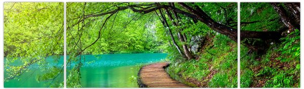 Obraz - Plitvická jezera (170x50 cm)