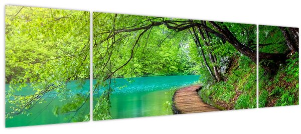 Obraz - Plitvická jezera (170x50 cm)