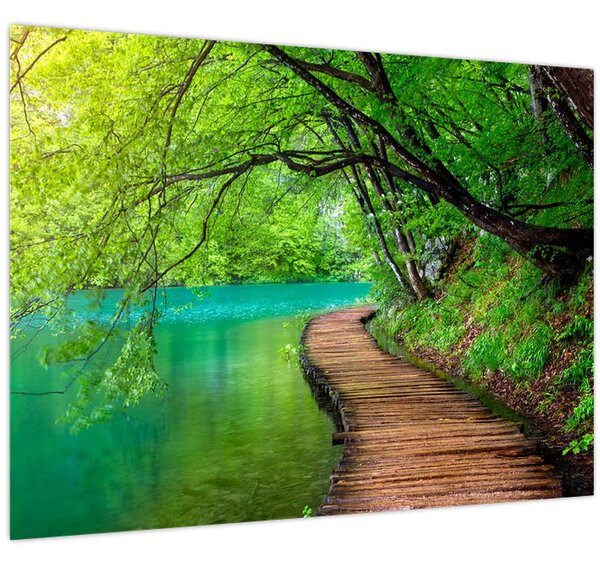 Obraz - Plitvická jezera (70x50 cm)
