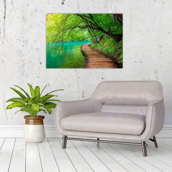 Obraz - Plitvická jezera (70x50 cm)