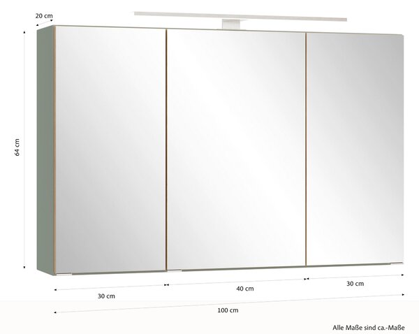 ZRCADLOVÁ SKŘÍŇKA, divoký dub, rákosová zelená, 100/64/20 cm Held - Koupelnové série, Online Only
