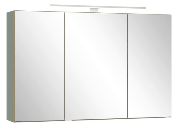ZRCADLOVÁ SKŘÍŇKA, divoký dub, rákosová zelená, 100/64/20 cm Held - Koupelnové série, Online Only