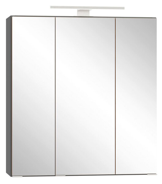 ZRCADLOVÁ SKŘÍŇKA, divoký dub, šedá, 60/64/20 cm Held - Koupelnové série, Online Only