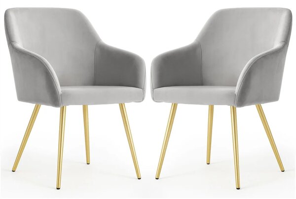 Set 2x jídelní čalouněná židle EVORIA - šedá / zlatá