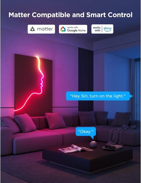 Govee - Neon 2 MATTER ohebný LED pásek 3m RGBIC Wi-Fi
