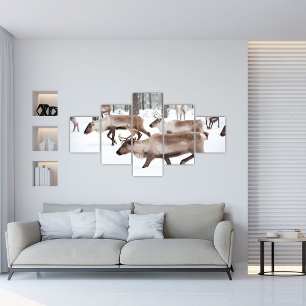 Obraz - Sobi (125x70 cm)