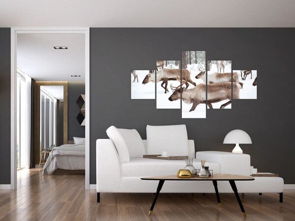Obraz - Sobi (125x70 cm)