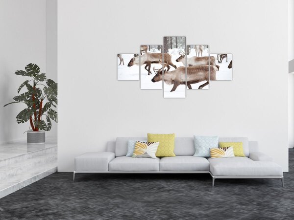 Obraz - Sobi (125x70 cm)