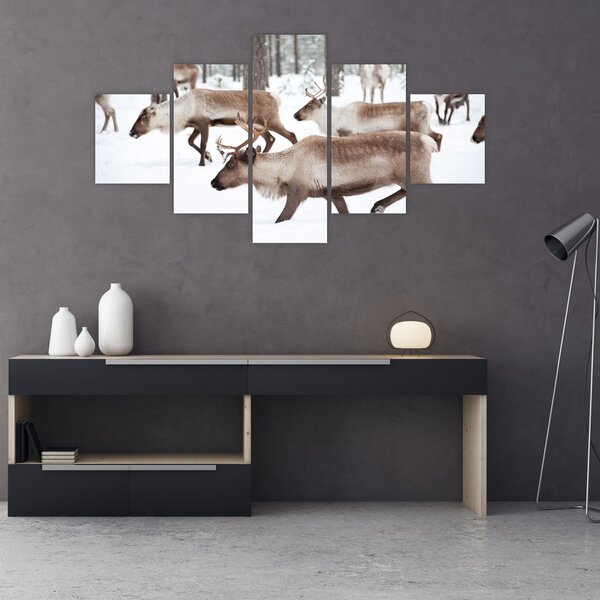 Obraz - Sobi (125x70 cm)