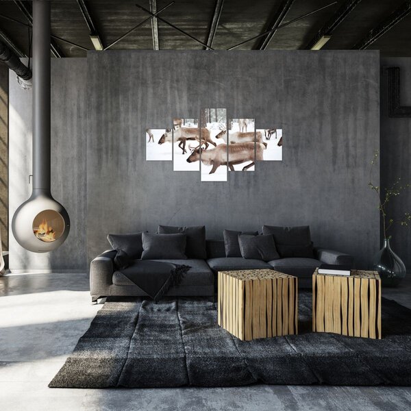 Obraz - Sobi (125x70 cm)