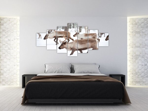 Obraz - Sobi (210x100 cm)