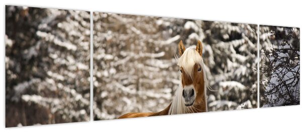 Obraz - Kůň v zimní krajině (170x50 cm)