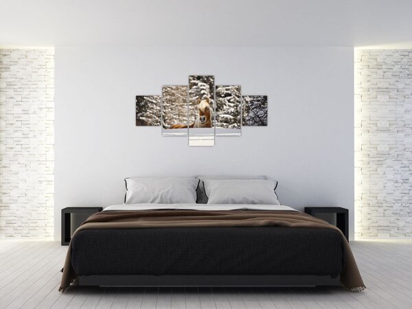 Obraz - Kůň v zimní krajině (125x70 cm)