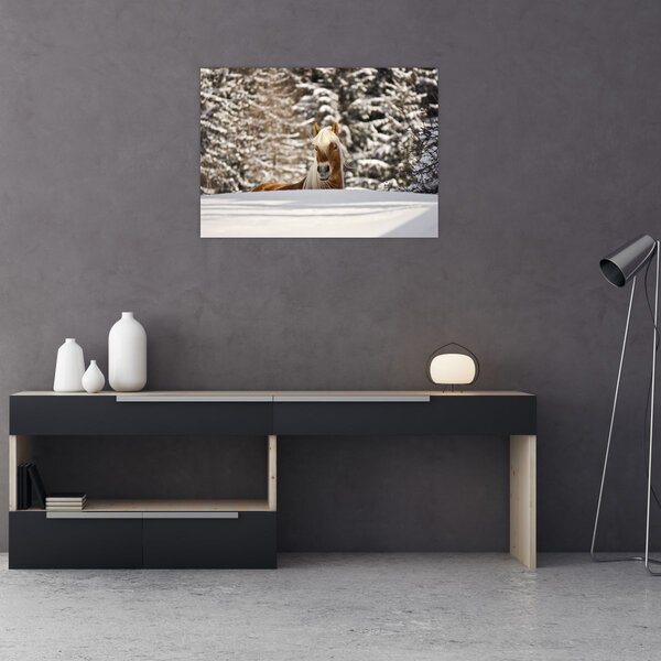 Obraz - Kůň v zimní krajině (70x50 cm)