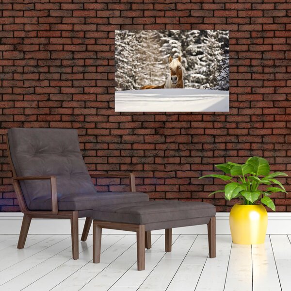 Obraz - Kůň v zimní krajině (70x50 cm)