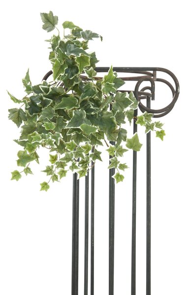 Umělý Holandský Břečťan - listy s bílým okrajem, 45cm