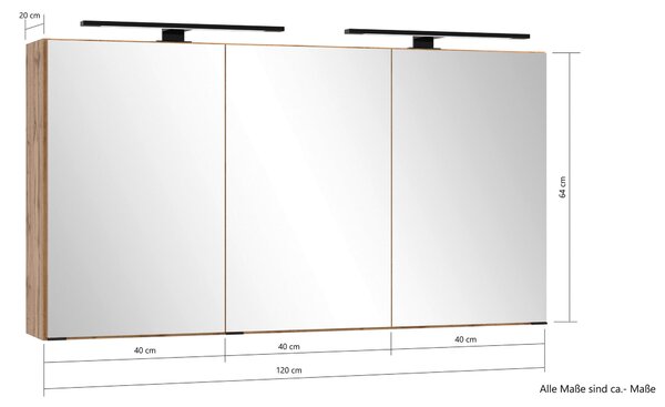 ZRCADLOVÁ SKŘÍŇKA, dub wotan, 120/64/20 cm Held - Zrcadlové skříňky, Online Only