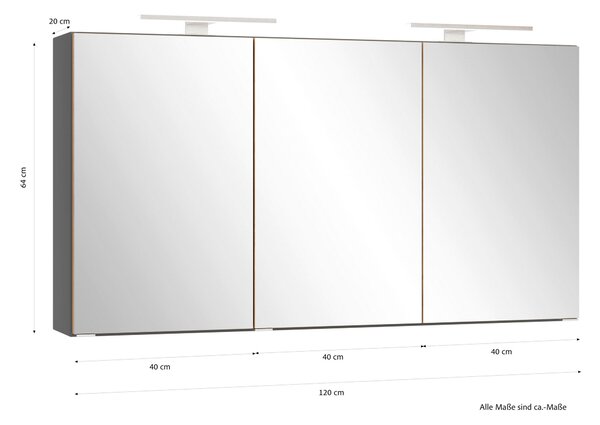 ZRCADLOVÁ SKŘÍŇKA, bílá, šedá, 120/64/20 cm Held - Koupelnové série, Online Only