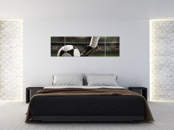 Obraz - Fotbalový míč (170x50 cm)