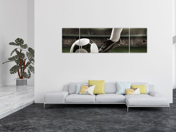 Obraz - Fotbalový míč (170x50 cm)