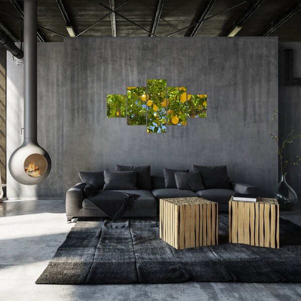 Obraz - Citrónovník (125x70 cm)