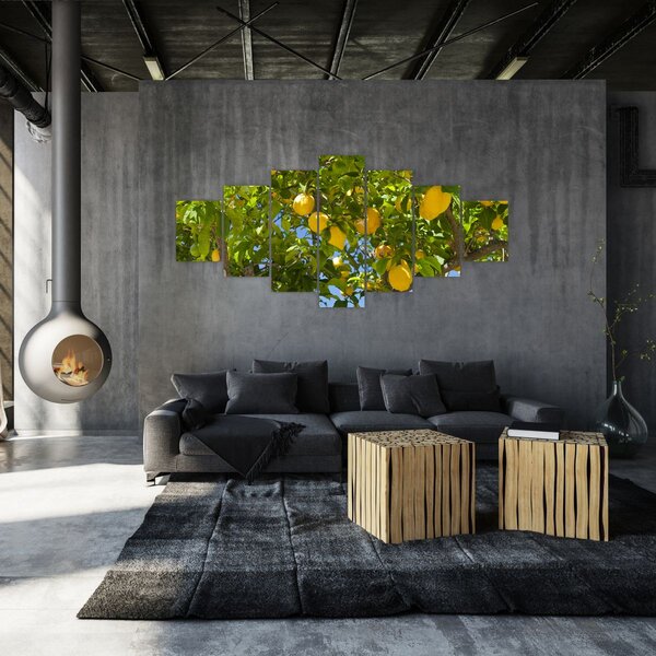 Obraz - Citrónovník (210x100 cm)
