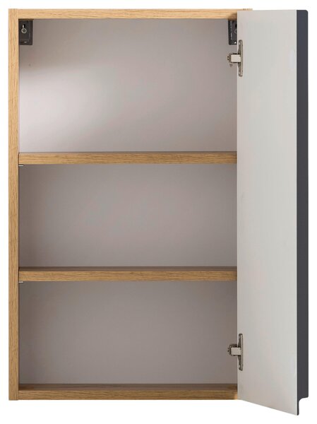 ZÁVĚSNÁ SKŘÍŇKA, 40/64/20 cm Held - Závěsné skříňky, Online Only