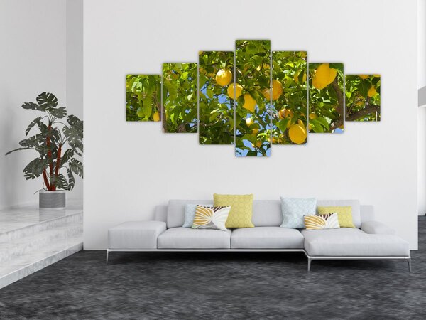 Obraz - Citrónovník (210x100 cm)